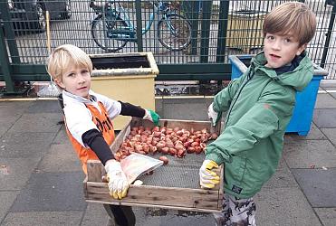 Bollen planten in de regen!