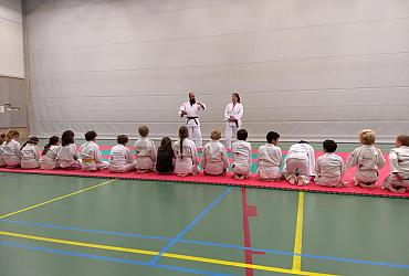 Schooljudo