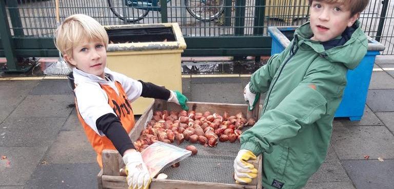 Bollen planten in de regen!